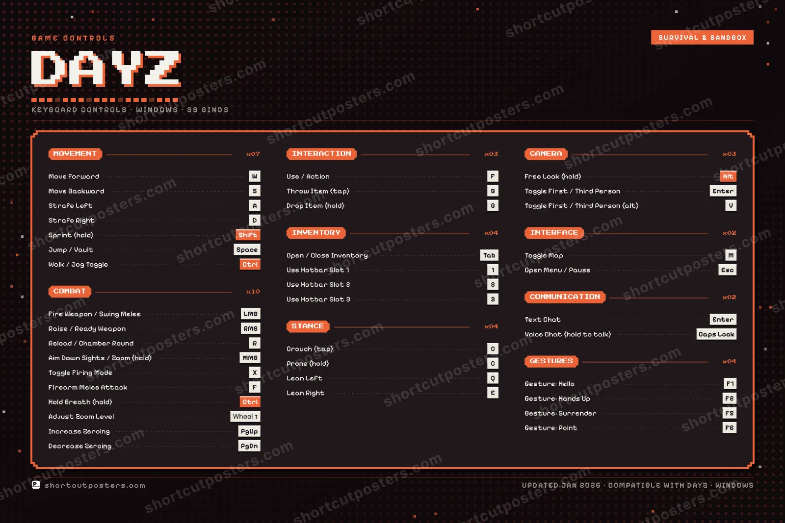 DayZ controls poster preview