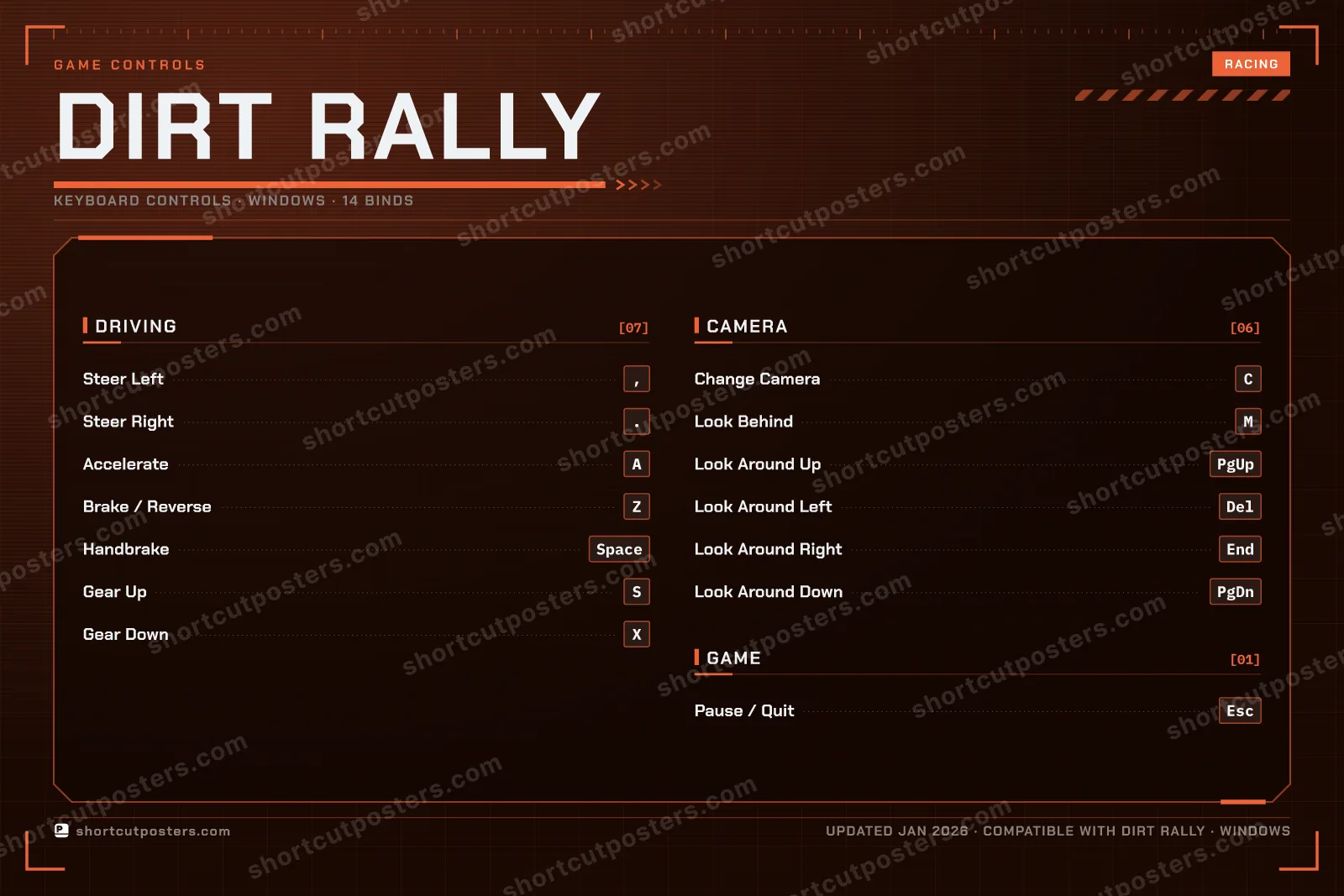 DiRT Rally controls poster preview