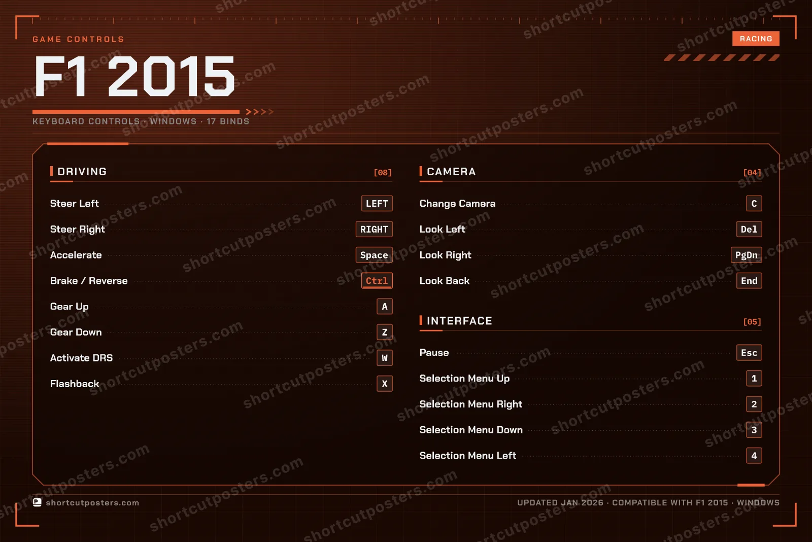 F1 2015 controls poster preview