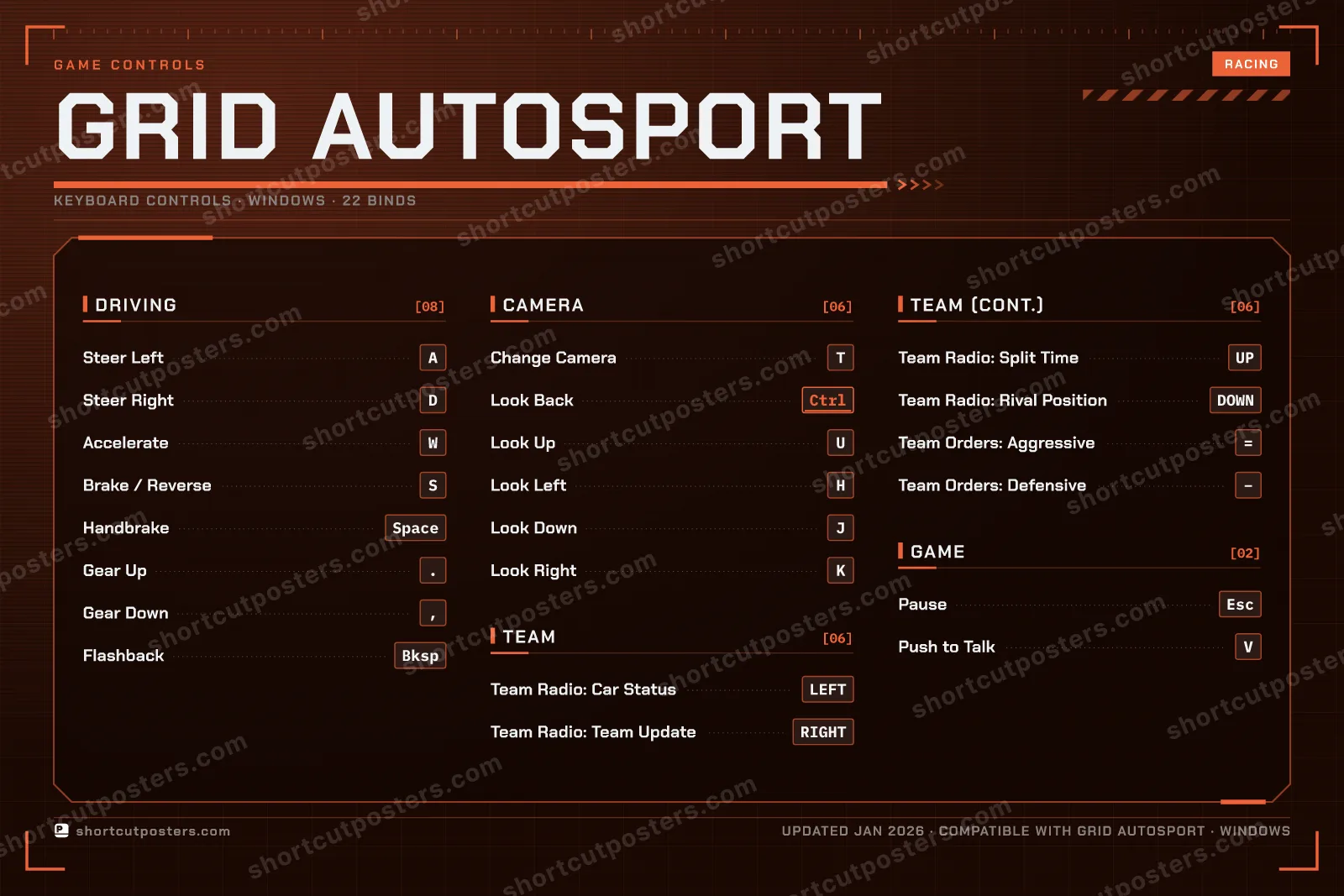 GRID Autosport controls poster preview