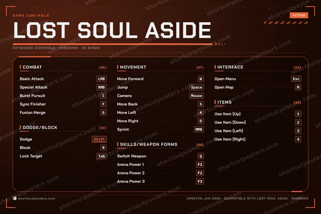 Lost Soul Aside controls poster preview