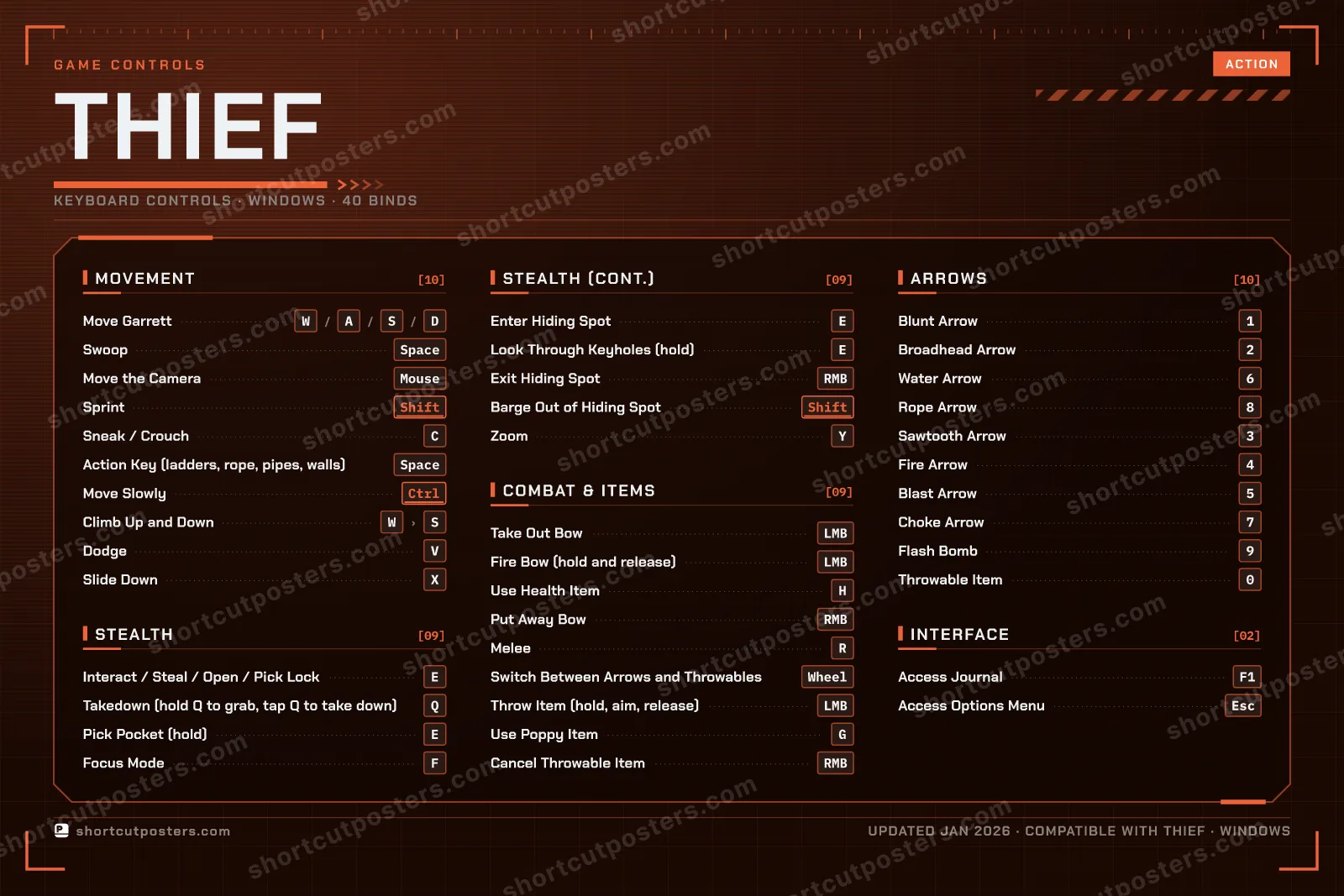 Thief controls poster preview